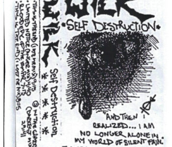 Self Destruction album cover