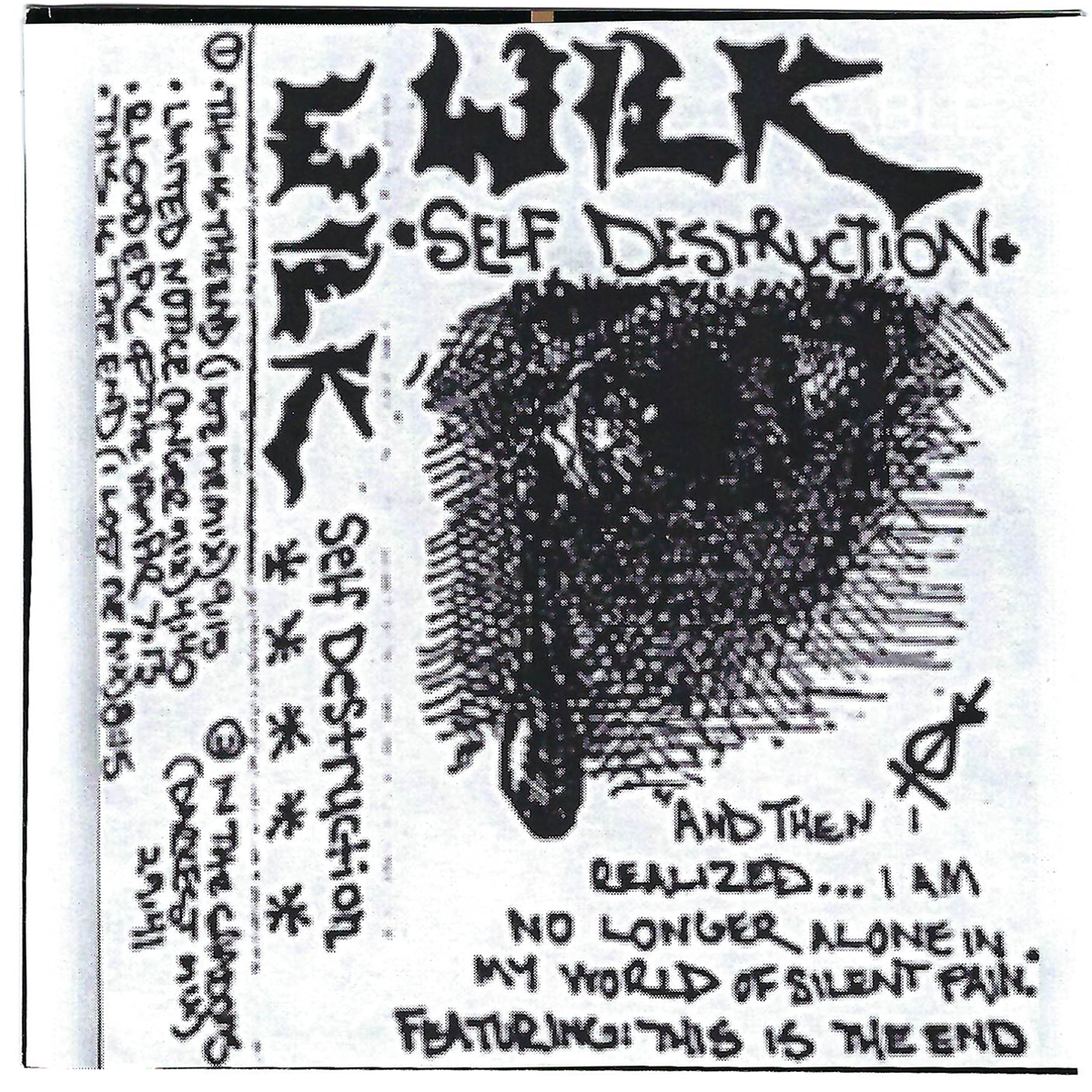 Self Destruction album cover